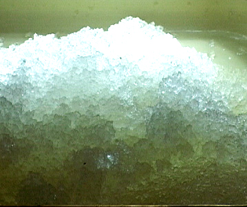 Hạt polyme siêu hấp thụ nước sau khi trương nở gấp 400 lần